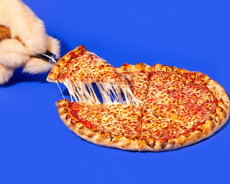 Holidog pulling a slice from a whole cheese pizza at Holiday World & Splashin' Safari in Santa Claus, Indiana.