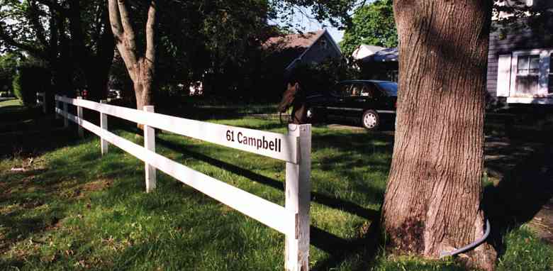 The famous Campbell horse at 61 Baycrest.
